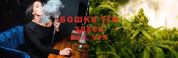 гашик Богородицк