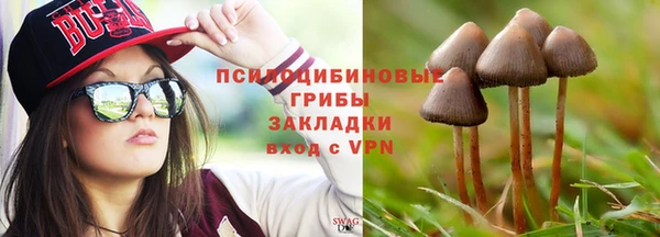 гидропоника Богданович