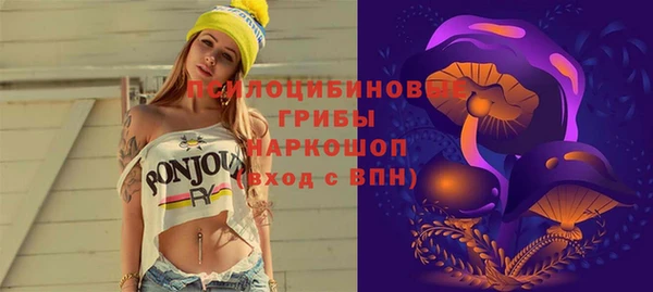 гашик Богородицк