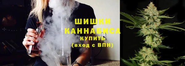 гидропоника Богданович