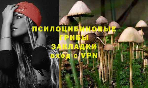 мескалин Богородск