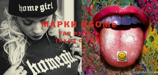 гашик Богородицк