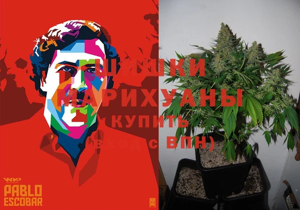 гидропоника Богданович