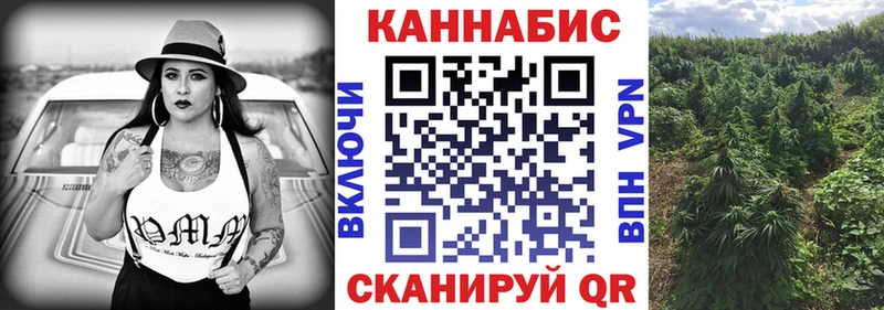 Марихуана конопля  Северская 